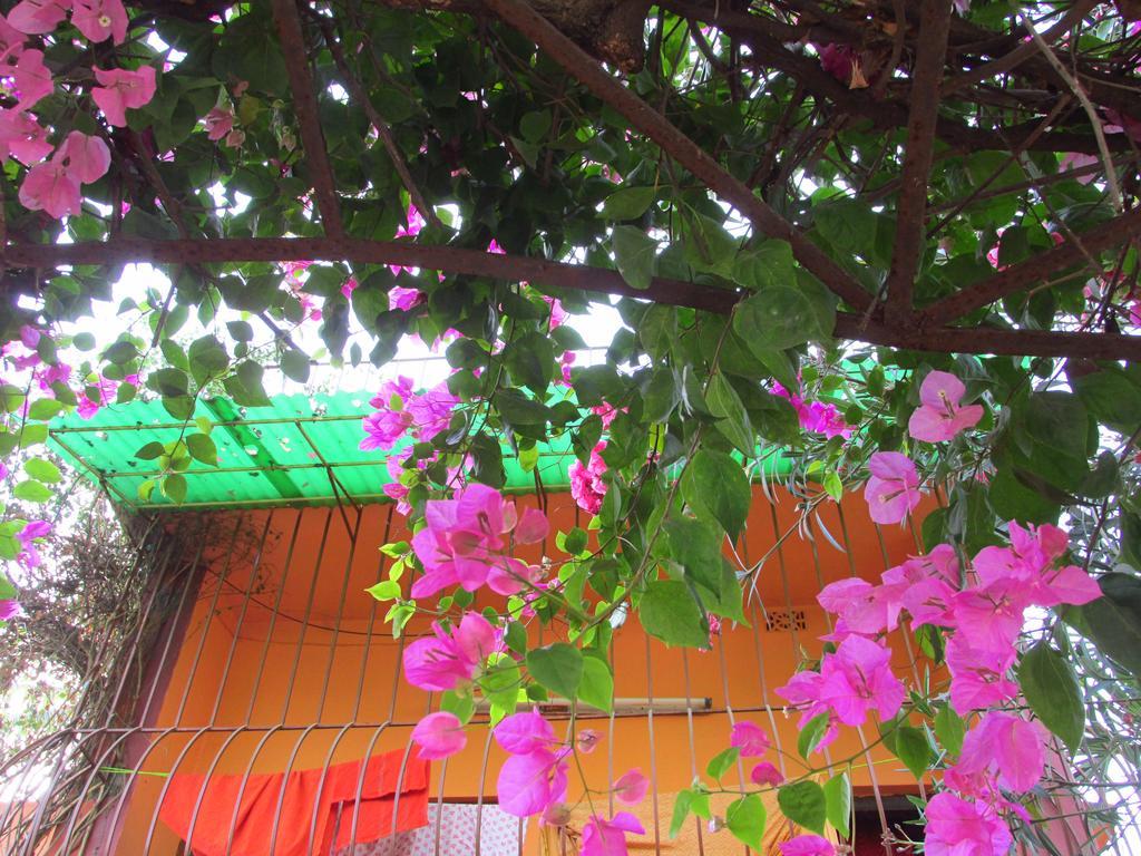 בולפור Pubali Homestay מראה חיצוני תמונה